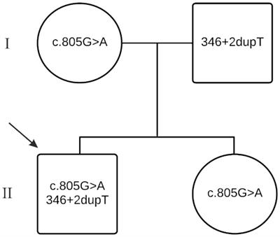 Novel HexA splice site mutations in a patient with late atypical onset Tay-Sachs disease: importance of combined NGS and biochemical analysis